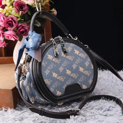 Stylish Everyday Bag
