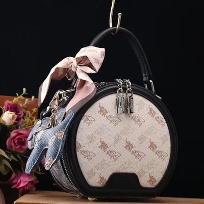 Stylish Everyday Bag