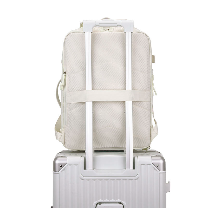 Standard 38L Travel Backpack 