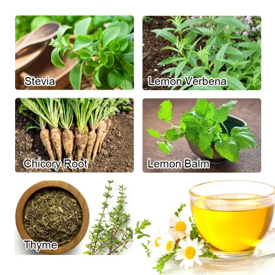 Ecofresh After Meal Digestive Bliss Tea