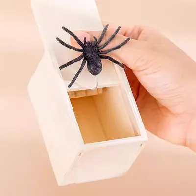  Prank  Horror Wooden Box Spider Box
