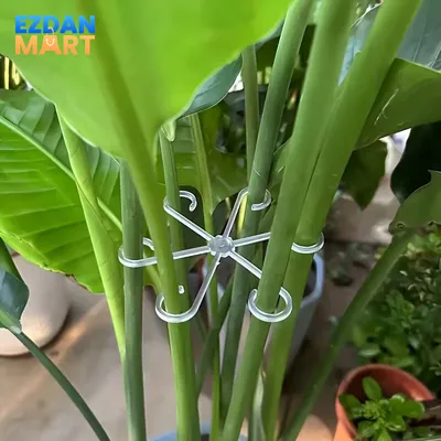 8 Pcs Plant Support Stakes