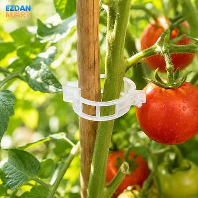 50 Pcs Reusable Plant Support & Trellis Clips