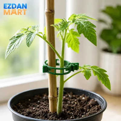50 Pcs Reusable Plant Support & Trellis Clips