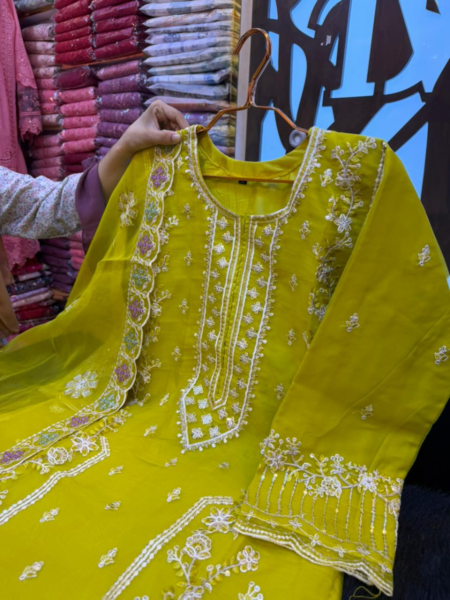 Luxury Organza Embroidered Party Wear Suit