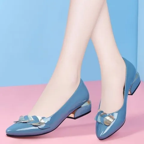 Low-Heeled Pointed Toe Shoes