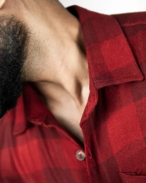 Basics Workshirt in Vintage Crimson Check