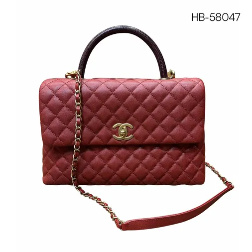 Chanel Cowhide Crossbody Bag