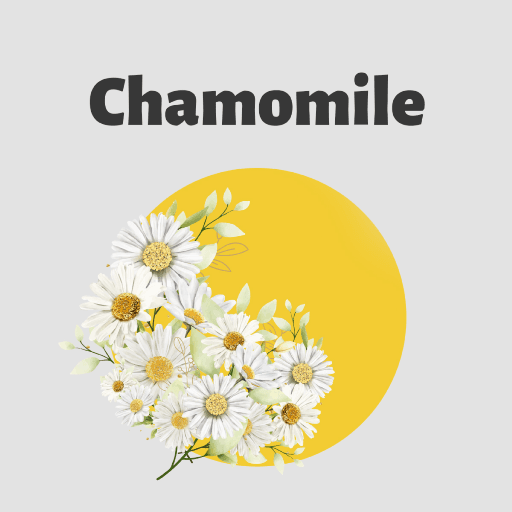 CHAMOMILE