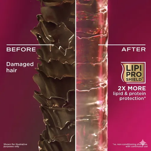 OGX Keratin Oil Shampoo 385ml – Hair Fall Control & Long, Smooth Hair (Sulfate Free)