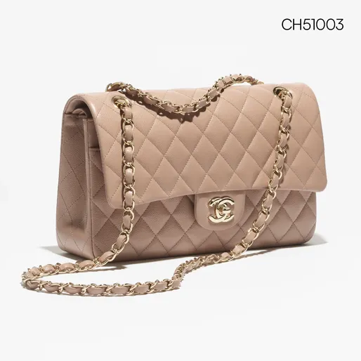Chanel Beige Large Handbag  1:1