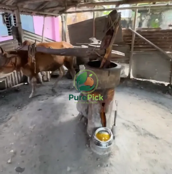 গরু টানা কাঠের ঘানি ভাঙ্গা সরিষার তেল